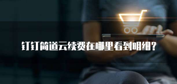 钉钉简道云续费在哪里看到明细？
