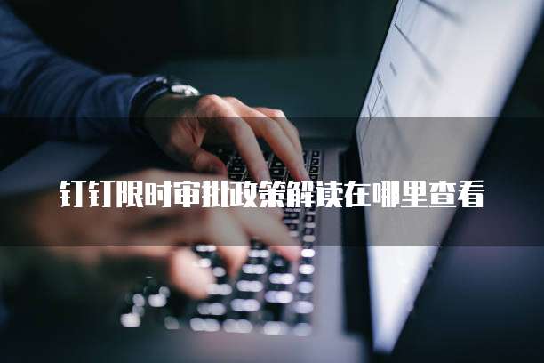 钉钉限时审批政策解读在哪里查看
