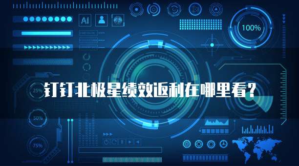 钉钉北极星绩效返利在哪里看?