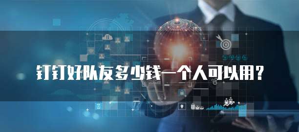 钉钉好队友多少钱一个人可以用?