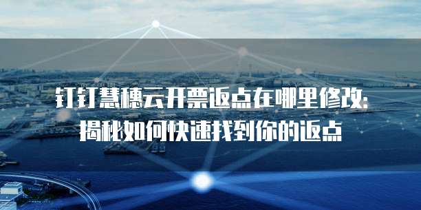 钉钉慧穗云开票返点在哪里修改:揭秘如何快速找到你的返点