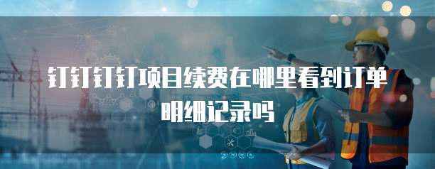 钉钉钉钉项目续费在哪里看到订单明细记录吗
