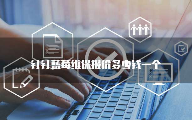 钉钉蓝莓维保报价多少钱一个