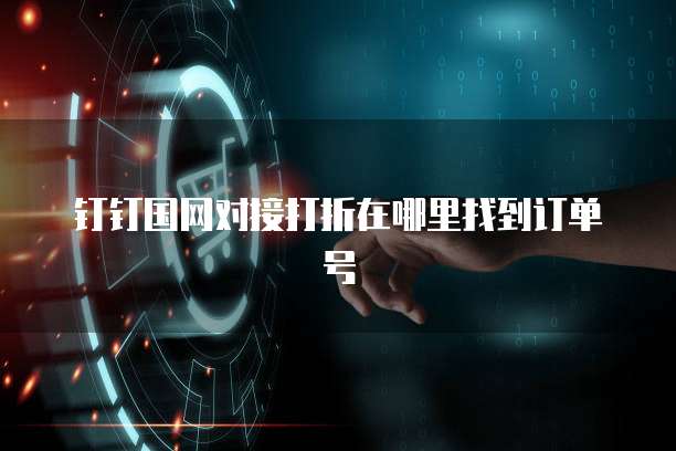 钉钉国网对接打折在哪里找到订单号