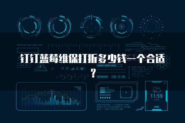 钉钉蓝莓维保打折多少钱一个合适?