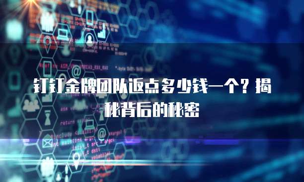钉钉金牌团队返点多少钱一个?揭秘背后的秘密