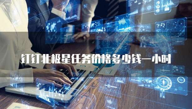 钉钉北极星任务价格多少钱一小时