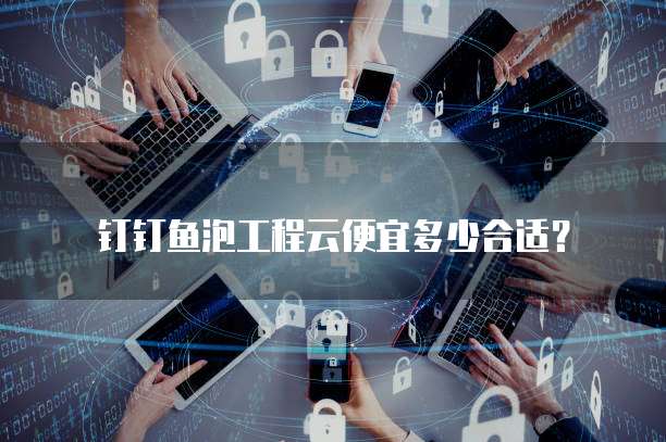 钉钉鱼泡工程云便宜多少合适?