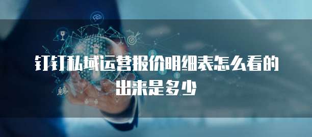 钉钉私域运营报价明细表怎么看的出来是多少