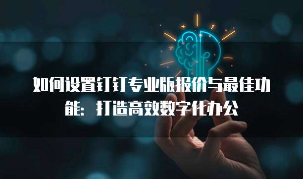 如何设置钉钉专业版报价与最佳功能:打造高效数字化办公