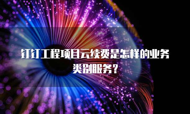 钉钉工程项目云续费是怎样的业务类别服务?