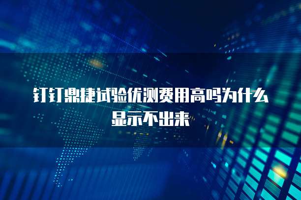 钉钉鼎捷试验优测费用高吗为什么显示不出来