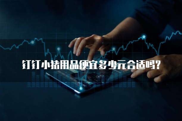钉钉小猪用品便宜多少元合适吗?