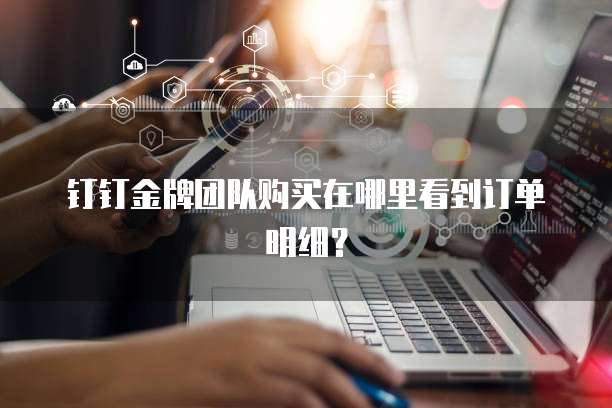 钉钉金牌团队购买在哪里看到订单明细?