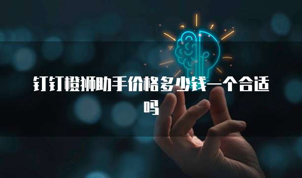 钉钉橙狮助手价格多少钱一个合适吗
