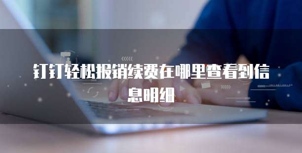 钉钉轻松报销续费在哪里查看到信息明细