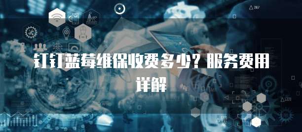钉钉蓝莓维保收费多少？服务费用详解