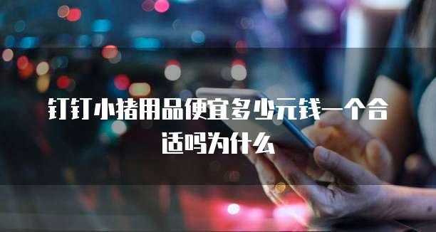 钉钉小猪用品便宜多少元钱一个合适吗为什么