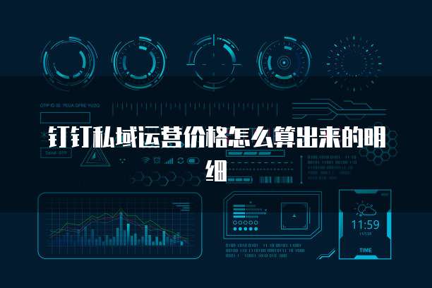钉钉私域运营价格怎么算出来的明细