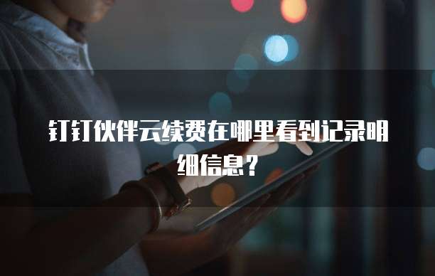 钉钉伙伴云续费在哪里看到记录明细信息?