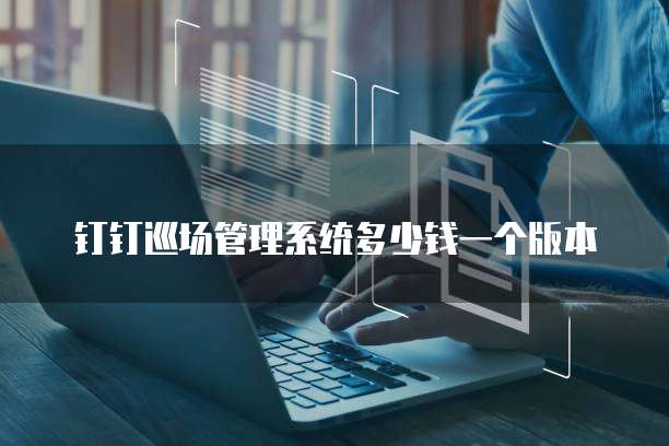 钉钉巡场管理系统多少钱一个版本