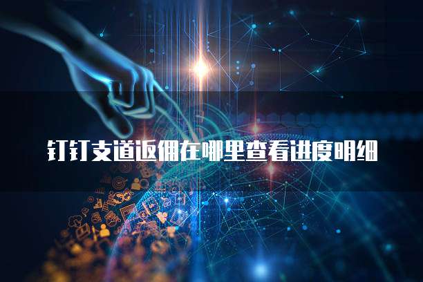 钉钉支道返佣在哪里查看进度明细