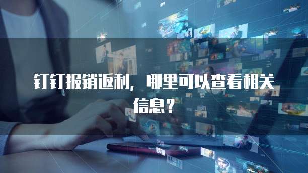 钉钉报销返利，哪里可以查看相关信息？