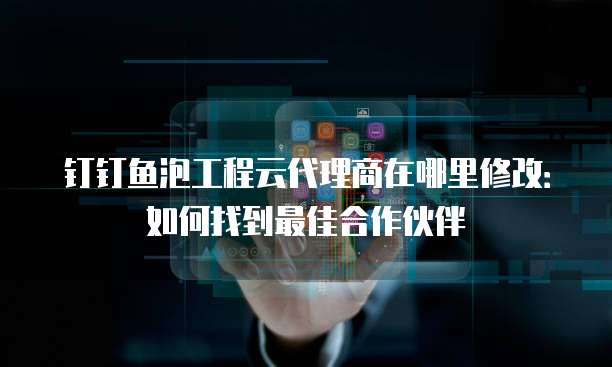 钉钉鱼泡工程云代理商在哪里修改:如何找到最佳合作伙伴