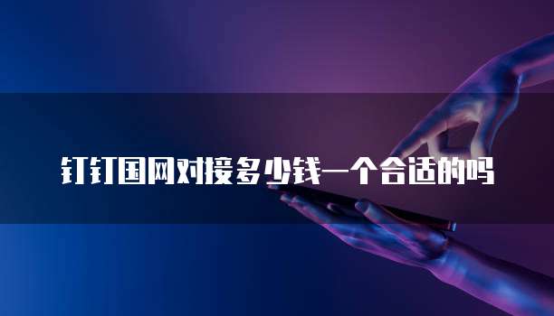 钉钉国网对接多少钱一个合适的吗