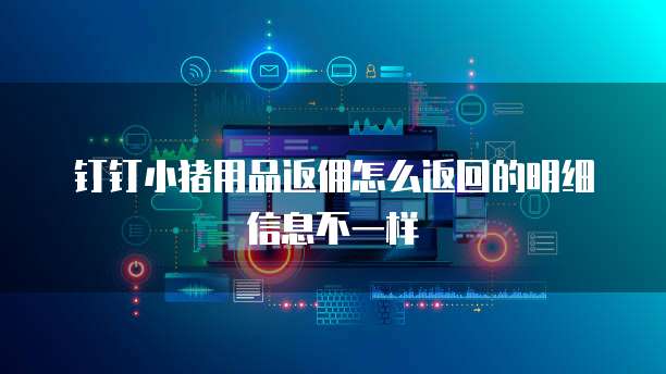 钉钉小猪用品返佣怎么返回的明细信息不一样