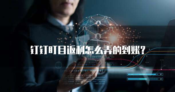 钉钉盯目返利怎么弄的到账?