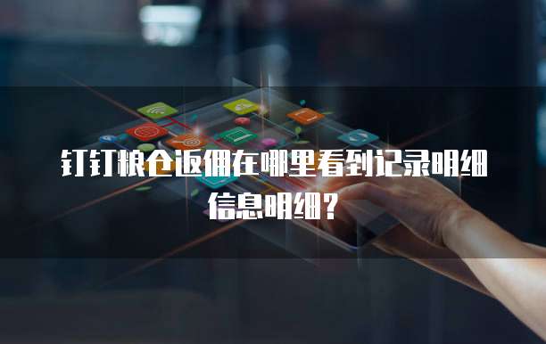 钉钉粮仓返佣在哪里看到记录明细信息明细?