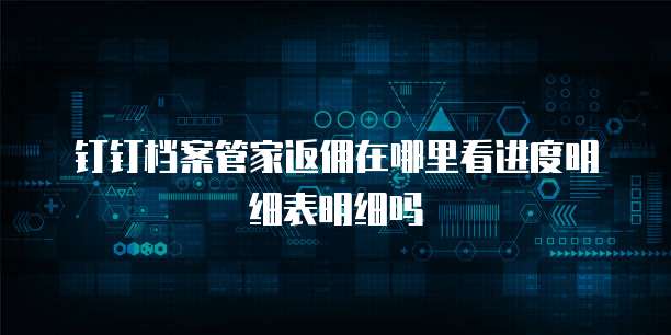 钉钉档案管家返佣在哪里看进度明细表明细吗