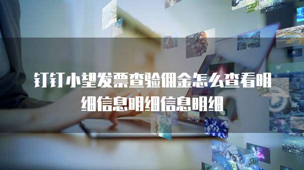钉钉小望发票查验佣金怎么查看明细信息明细信息明细
