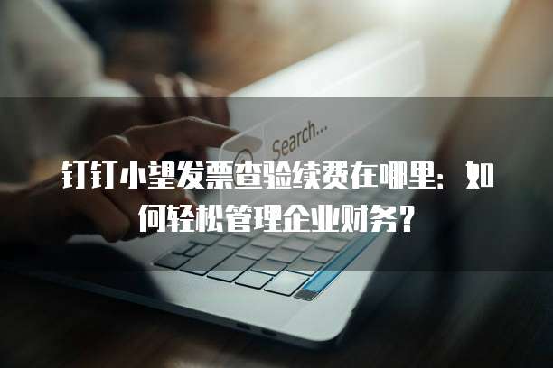 钉钉小望发票查验续费在哪里:如何轻松管理企业财务?