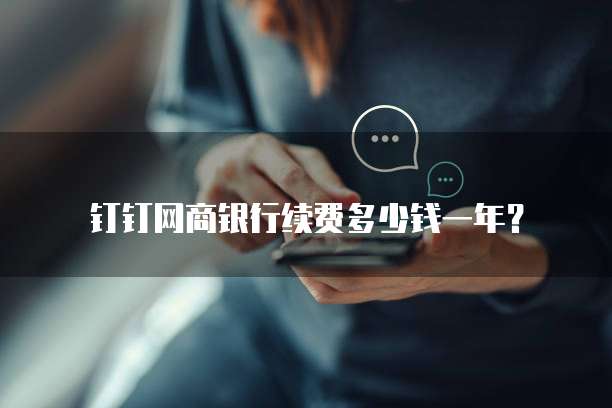 钉钉网商银行续费多少钱一年?