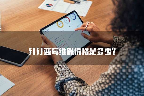 钉钉蓝莓维保价格是多少?