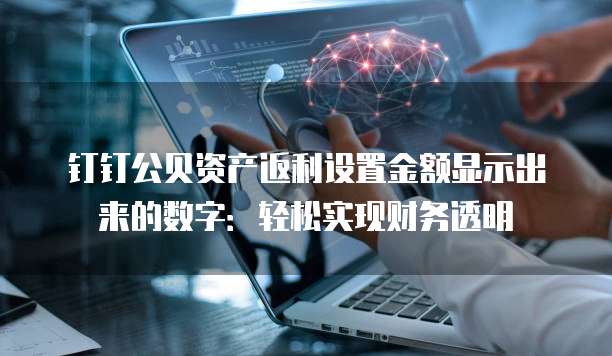 钉钉公贝资产返利设置金额显示出来的数字:轻松实现财务透明