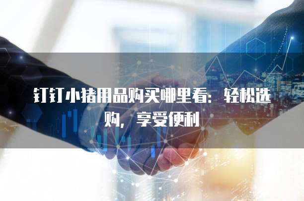 钉钉小猪用品购买哪里看:轻松选购,享受便利