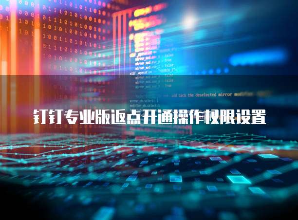 钉钉专业版返点开通操作权限设置