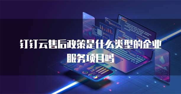 钉钉云售后政策是什么类型的企业服务项目吗