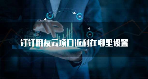 钉钉用友云项目返利在哪里设置