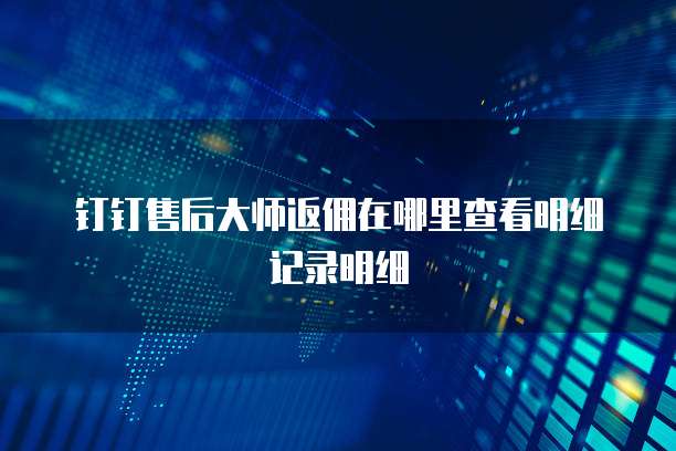 钉钉售后大师返佣在哪里查看明细记录明细