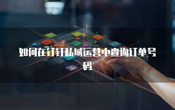 如何在钉钉私域运营中查询订单号码