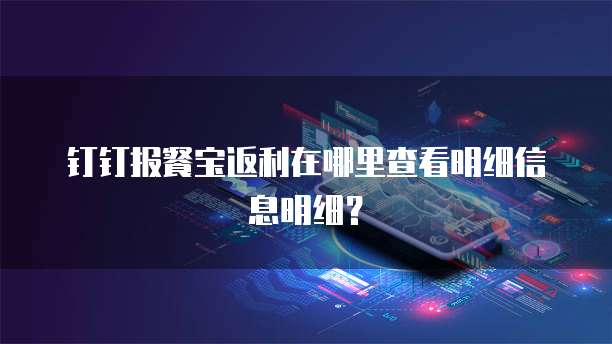 钉钉报餐宝返利在哪里查看明细信息明细？
