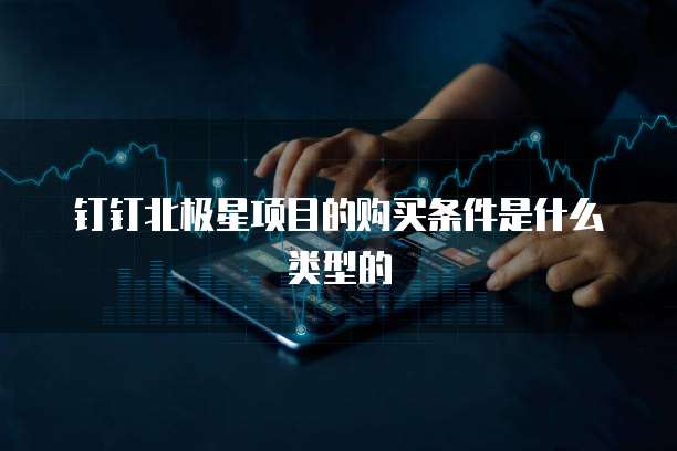钉钉北极星项目的购买条件是什么类型的