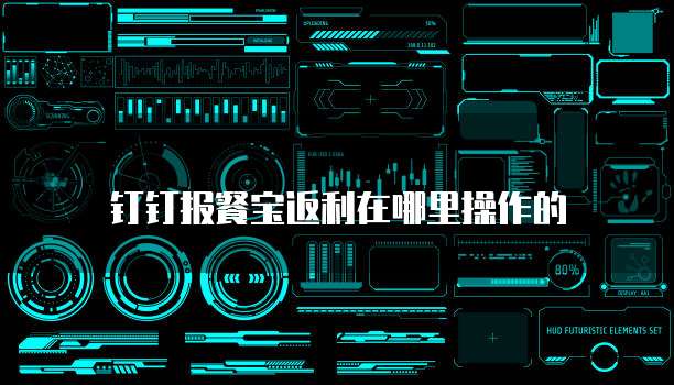 钉钉报餐宝返利在哪里操作的
