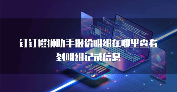钉钉橙狮助手报价明细在哪里查看到明细记录信息