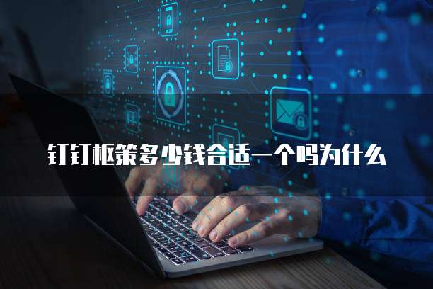 钉钉枢策多少钱合适一个吗为什么