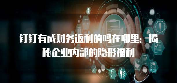 钉钉有成财务返利的吗在哪里:揭秘企业内部的隐形福利
